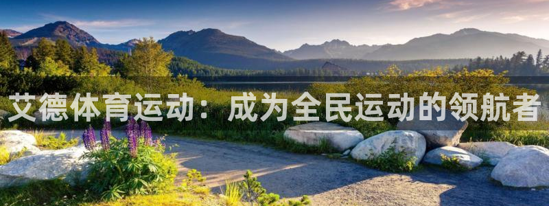 伟德国际能源