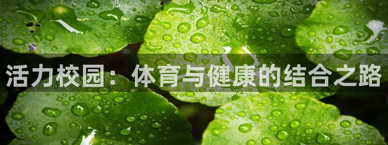 伟德国际代理