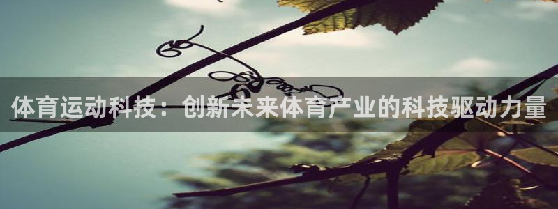 伟德国际5