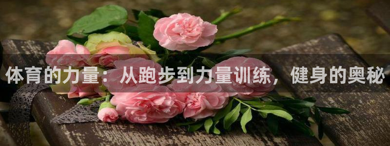 伟德国际2体育