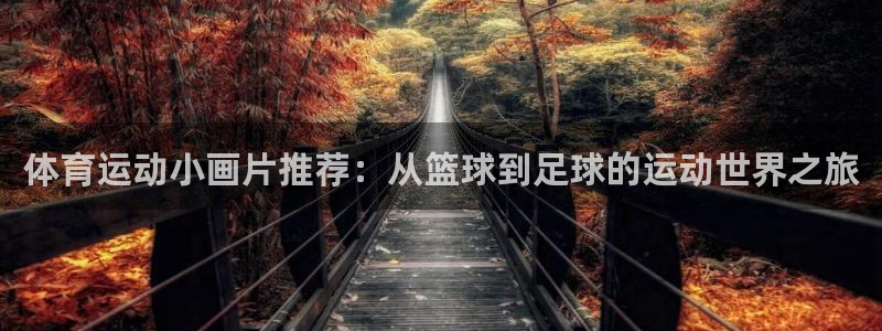 伟德国际代理
