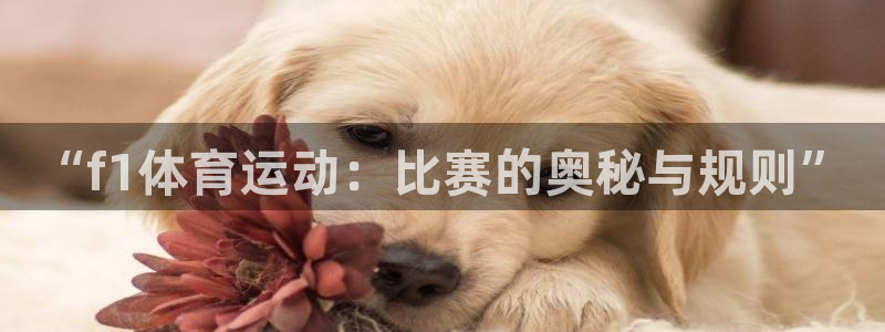 伟德国际3官网