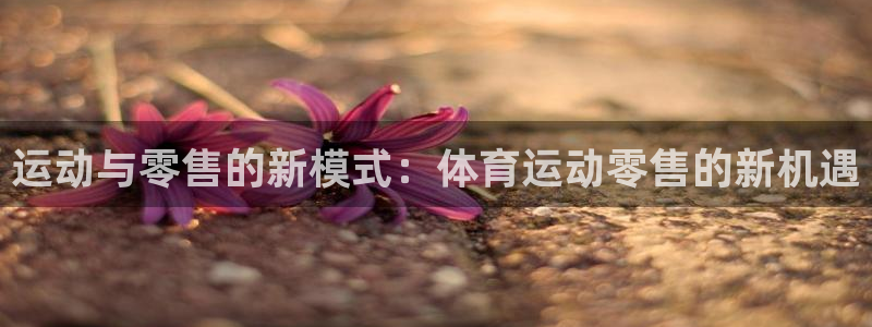 伟德国际平台总代理