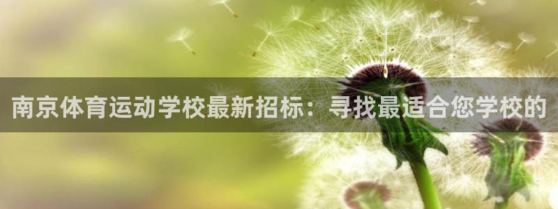 伟德国际招商
