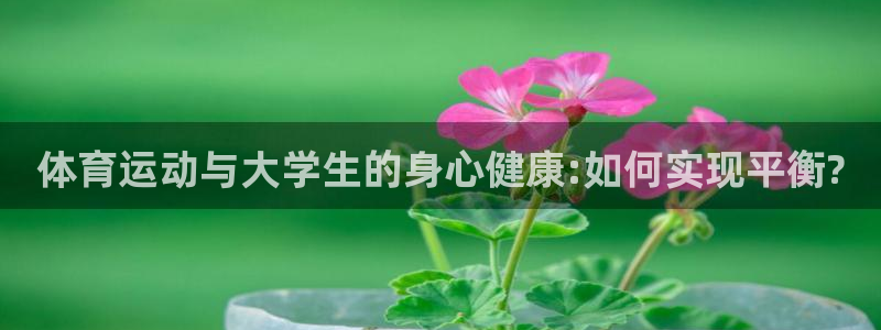 伟德国际5招商