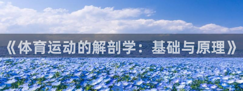 伟德国际2平台