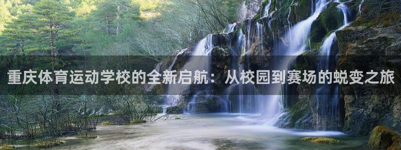 伟德国际4开户