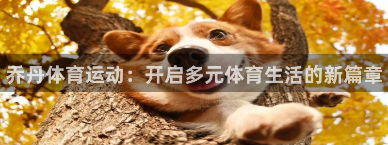 伟德国际体育f开号