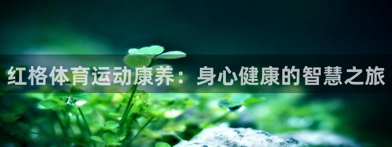 伟德国际电子有限公司
