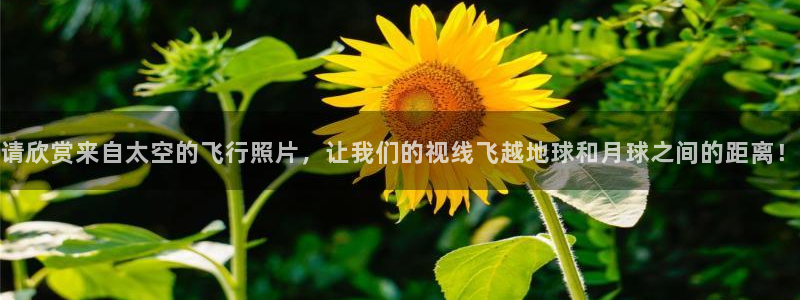 福建伟德国际机电股份公司