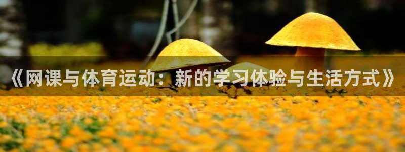 伟德国际招商