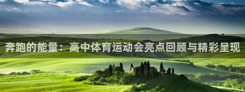 伟德国际4代理