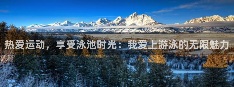 伟德国际电子有限公司
