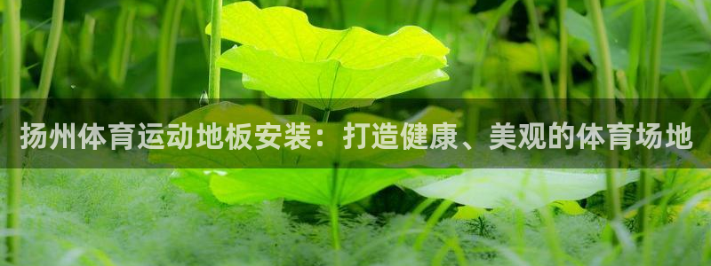 伟德国际官网注册