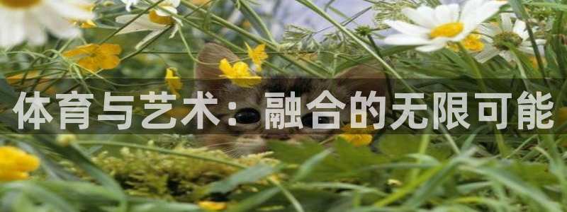 意昂4平台