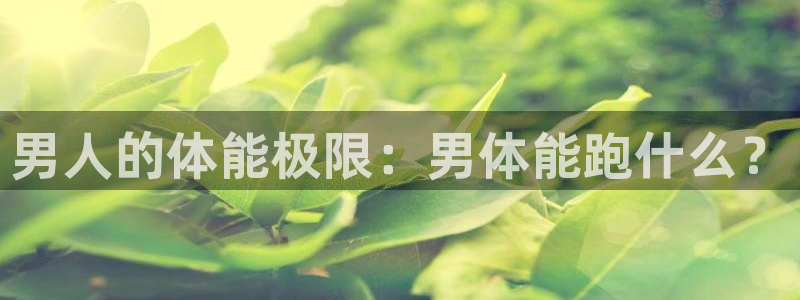 伟德国际凯捷平台注册链接