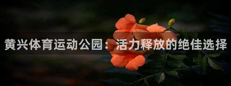 意昂体育